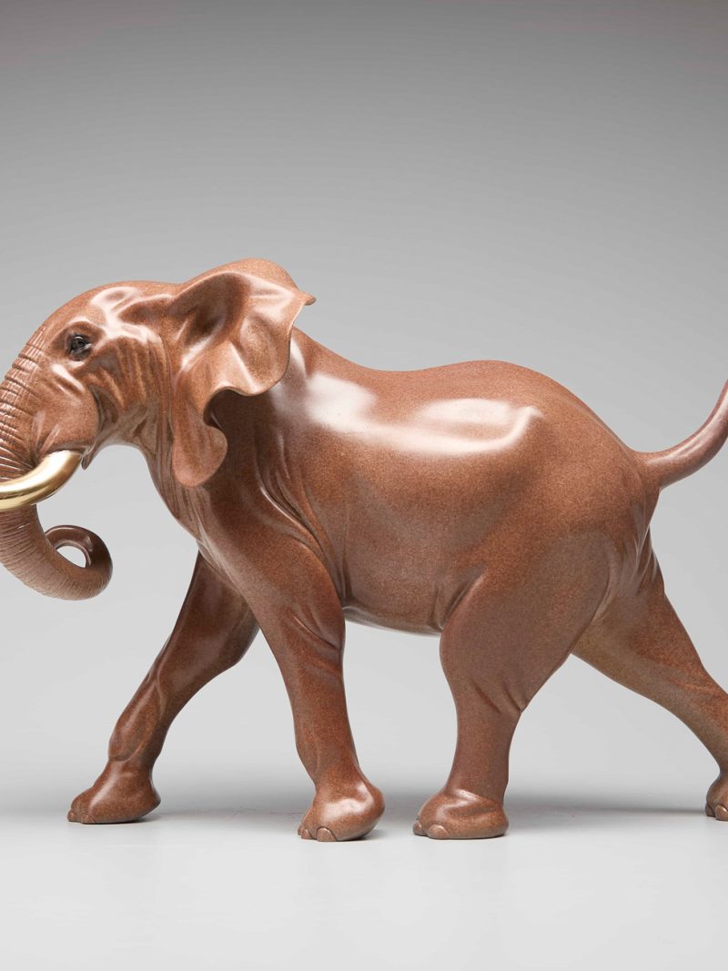 The elephant taking a step forward