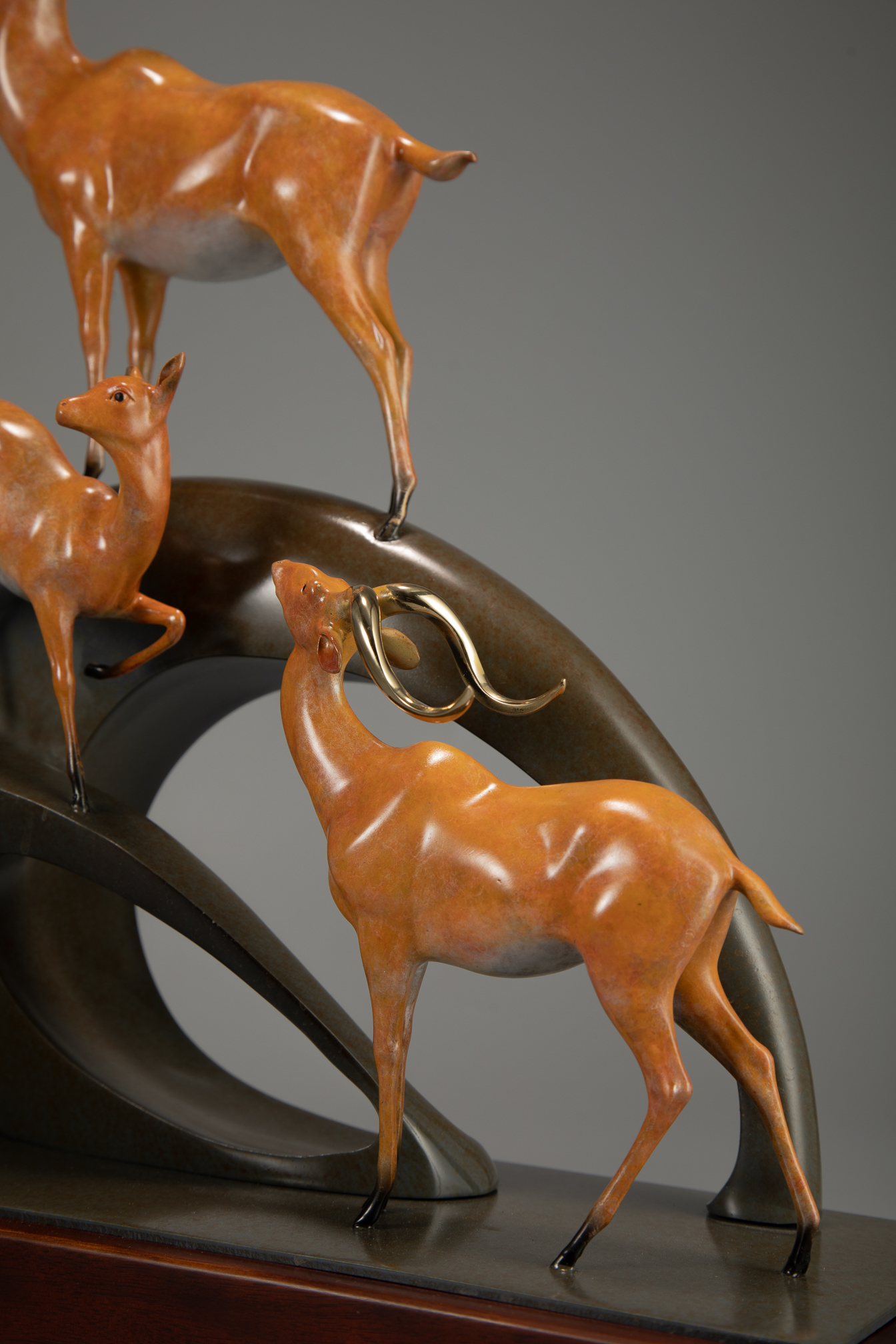 Golden antelope herd ascending arc base — head close-up.