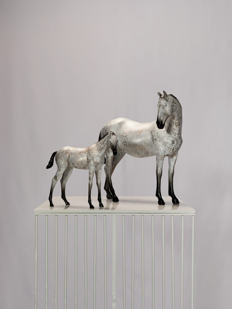 Mother and foal horse
