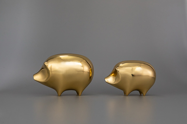 Minimalist and luxurious little pig