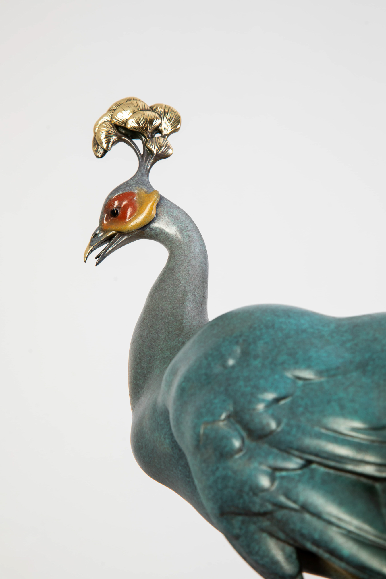 Patina-green peacock standing on tall rock — head with golden crest close-up.