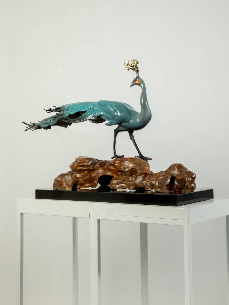 The peacock looking back