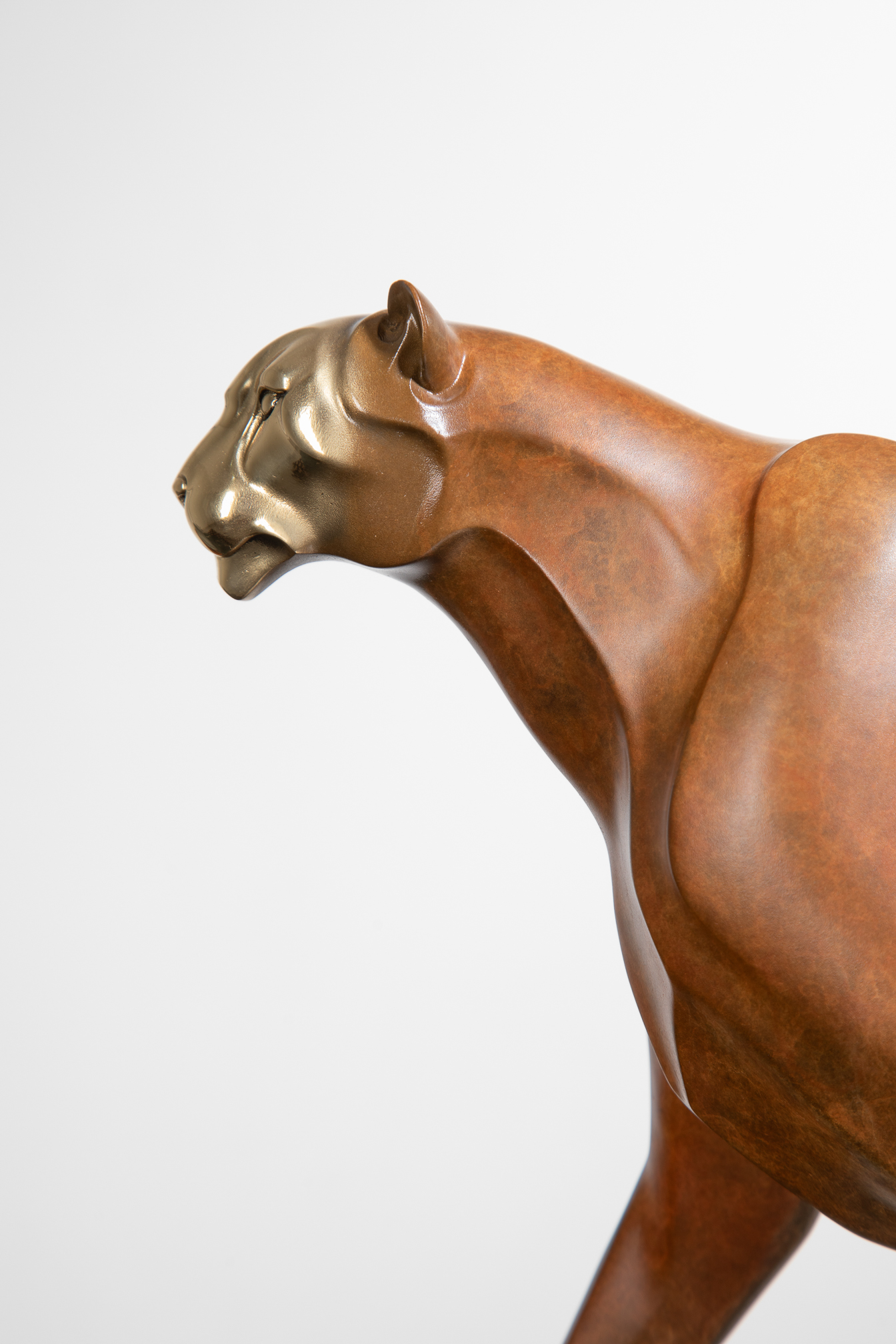 Golden-brown stalking leopard with polished bronze head — head and neck close-up.