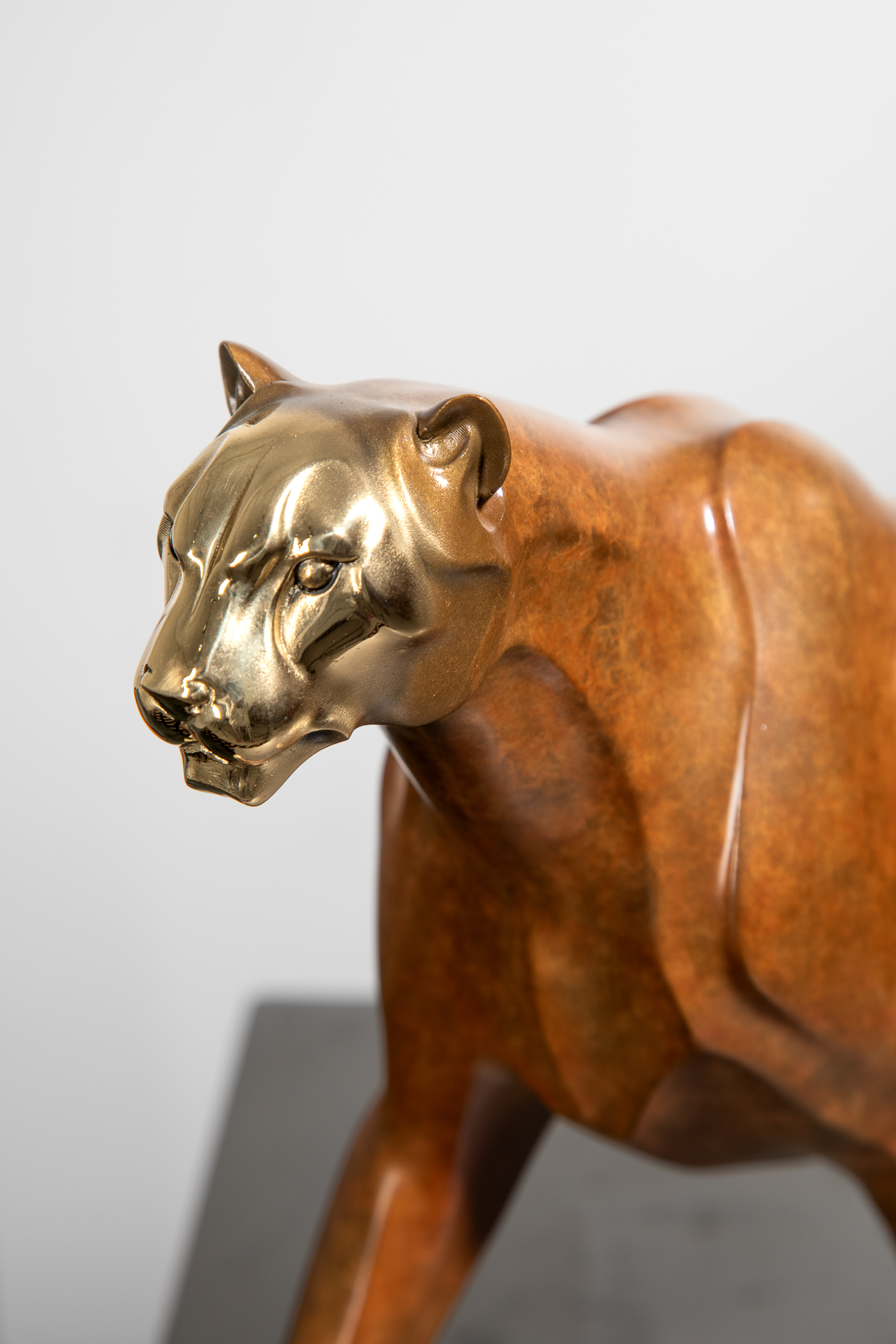 Golden-brown stalking leopard with polished bronze head — head close-up.