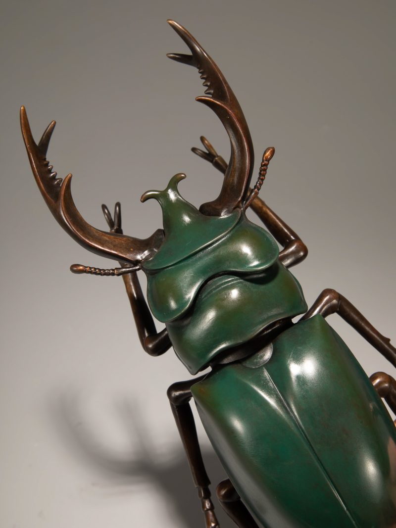 Insect - Antlered Beetle